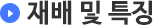 재배 및 특징